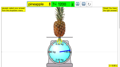 Read Weighing Scale poster