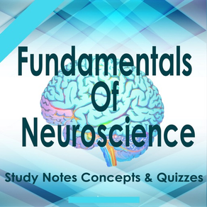 Fundamentals Of Neuroscience