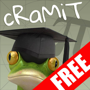 cRaMiT Maths GCSE Lite
