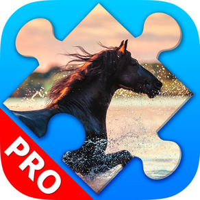 Horses jigsaw puzzles for adults. Premium