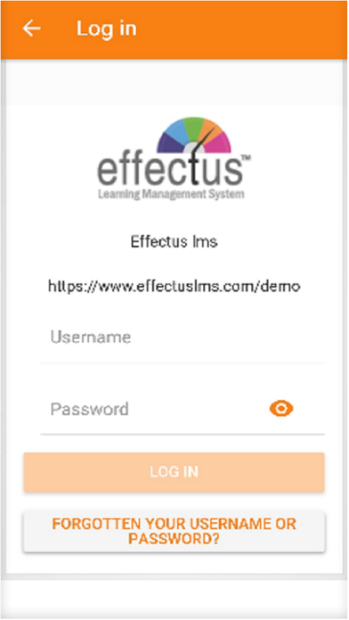 EFFECTUS LMS poster