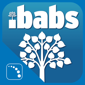 iBabs for MaaS360