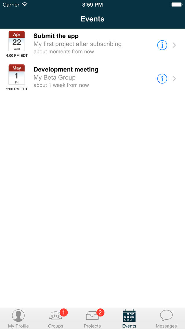 Connect Elements: Private groups and projects Plakat