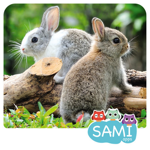 Sami Tiny FlashCards Animals 6 languages kids apps