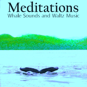 Meditations Whales Waltz Music