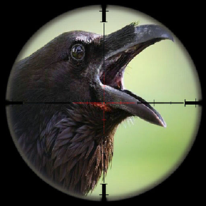 Forest Crow Hunter-Bird Shooting Simulator