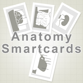 Anatomy SmartCards