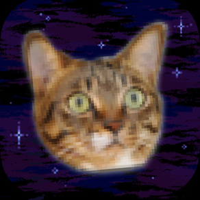 Cats In Space! Galactic Mice