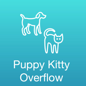 Puppy Kitty Overflow: Random Animated Dog and Cat Photos