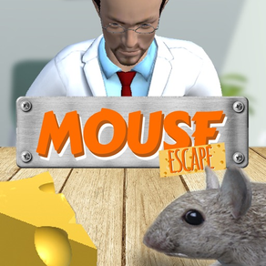 Mouse Escape - 3D Labyrinth Maze