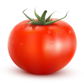 과일 매니아 - 토마토 호감
