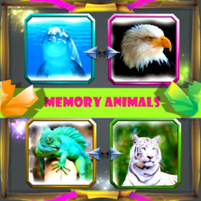 Playzoon Memory Animals