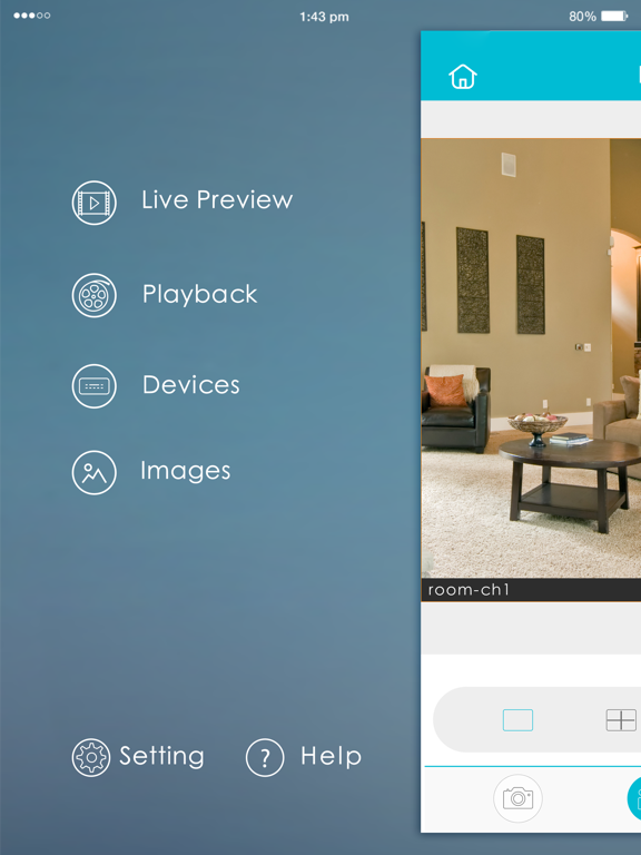 Inview Pro poster