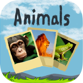 Puzzle with animals sound- Educational game