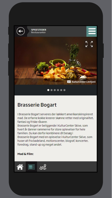 VisitSkive poster