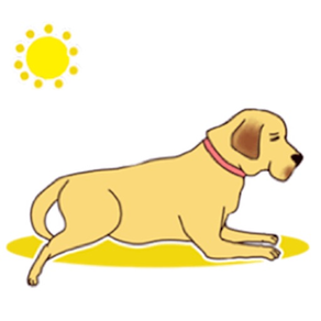 Labrador Retriever Dog Sticker