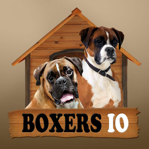 Boxers IO (Opoly)