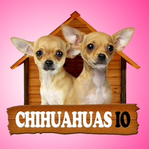Chihuahuas IO (Opoly)