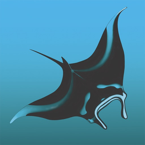 Manta Ray Tracker