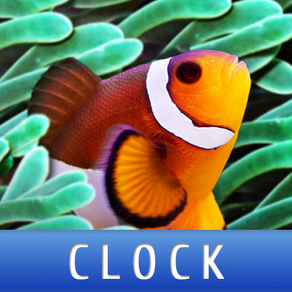 Aquarium Clock