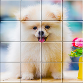 Tile Puzzle Pomeranian Dogs