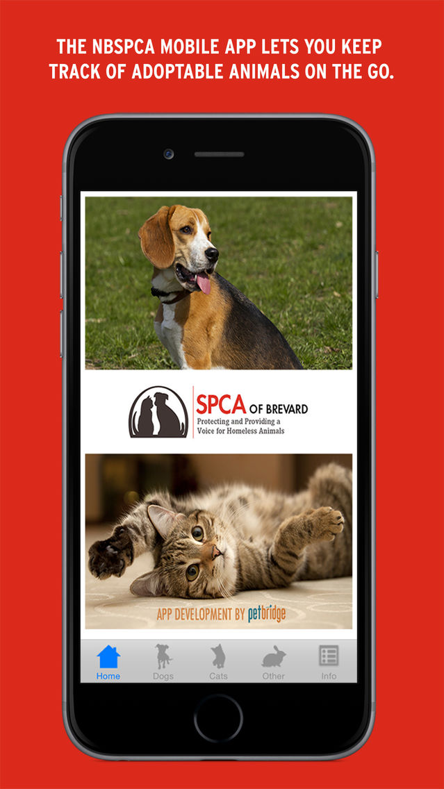 NBSPCA الملصق