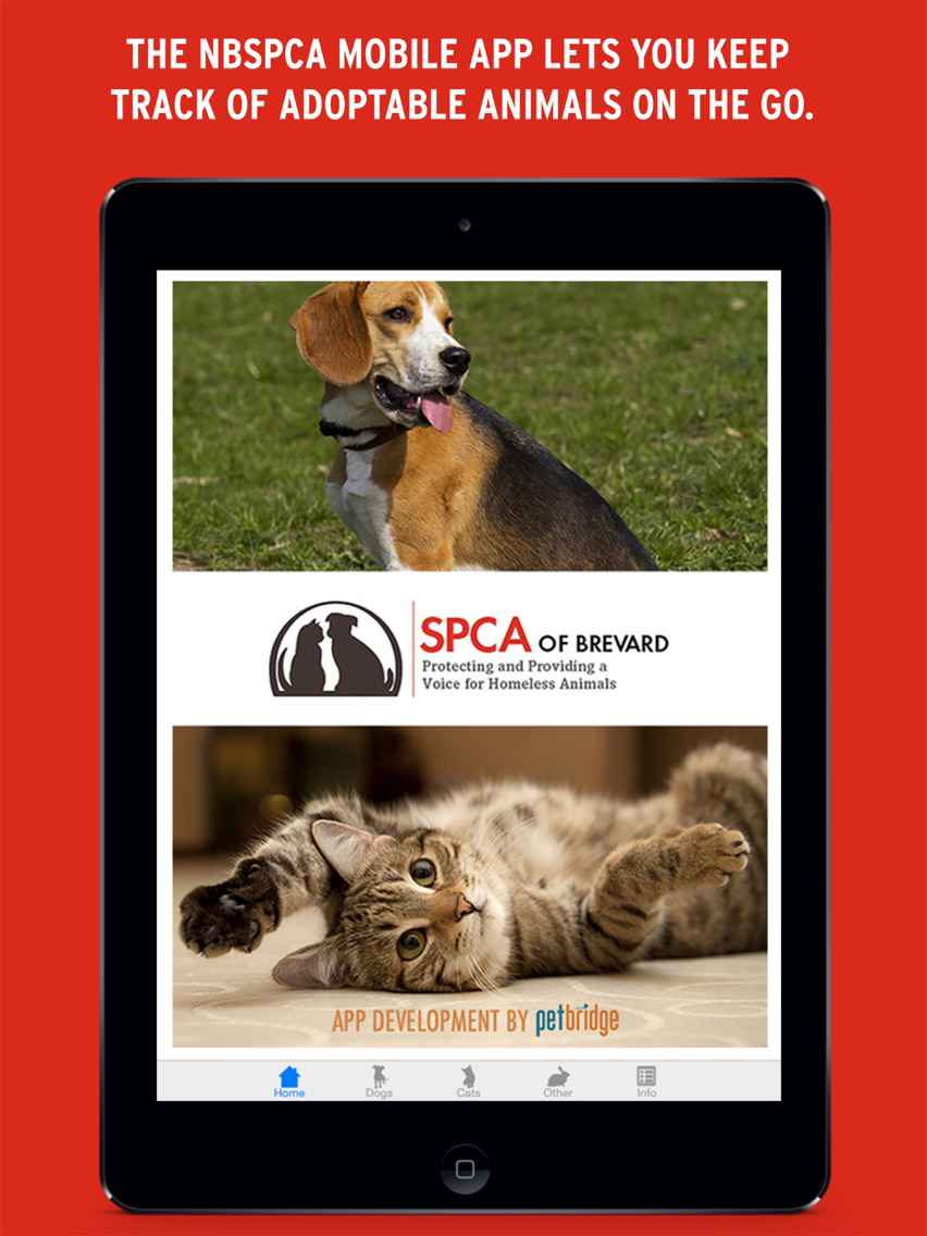 NBSPCA الملصق