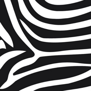 Zebra Print Wallpapers