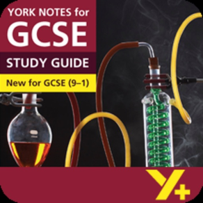 Frankenstein York Notes for GCSE 9-1