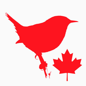 BIRD SCHOLAR Canada Edition