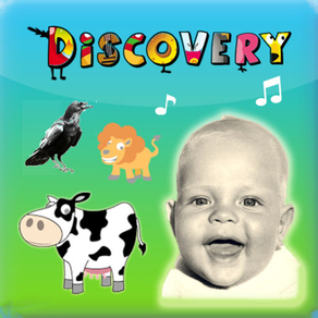 Kids Discovery - Moo Box