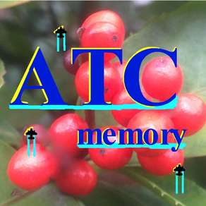 ATCmemory