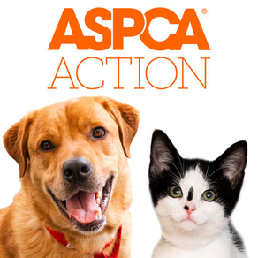 ASPCA Action