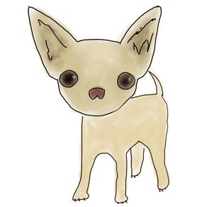 Chihuahua Powa
