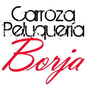 Carroza Peluquería Borja