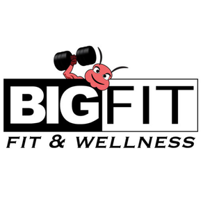 BIG-FIT