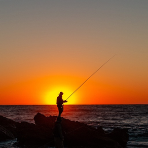 Fishing Organiser