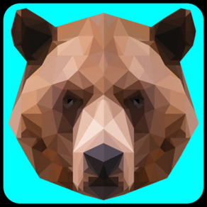 Bears.io