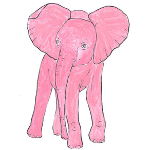 Dita Elefant