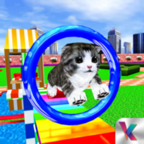 Cat and Dog Show - Sim 2019