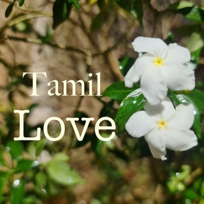 Tamil Love