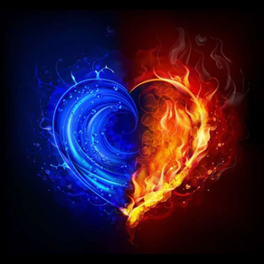 Soulmates Twinflames
