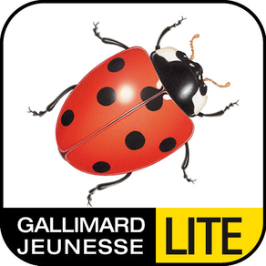 La coccinelle Lite pour iPhone