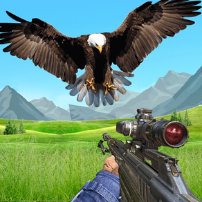 pájaro cazador: mundo cazador