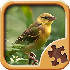 Quebra-cabeça De Aves - Jogos De Puzzle