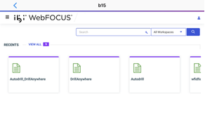 ibi™ WebFOCUS®