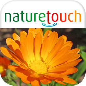 Identification des 3000 plantes, naturetouch