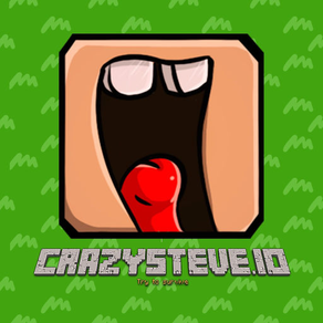 CrazySteve.io