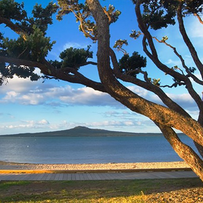 A story of Ngāti Whātua Ōrakei