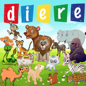 Diere